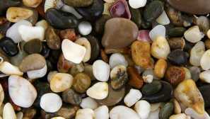 Výběr oblázků pro akvárium